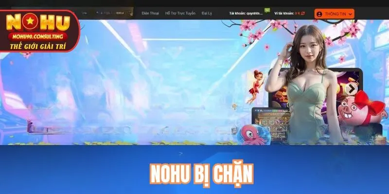 Nohu bị chặn